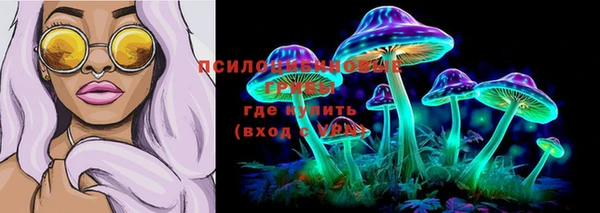 стафф Липки