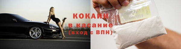 шишки Богданович