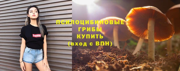 стафф Железноводск